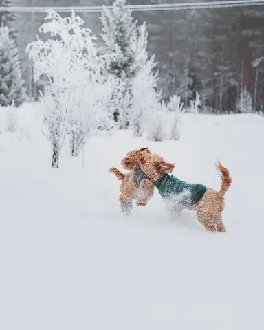 Äidin ja tyttären leikkihetki talvella