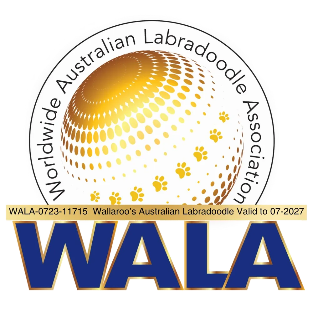 WALA – Worldwide Australian Labradoodle Association